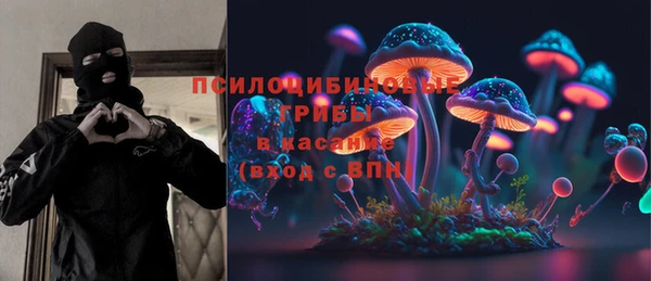 прущие грибы Алексеевка