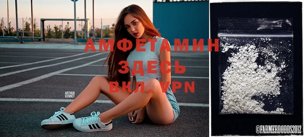 прущие грибы Алексеевка
