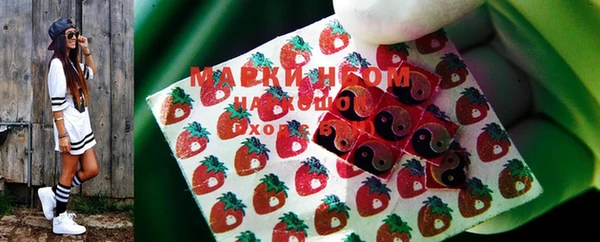 apvp Алексин