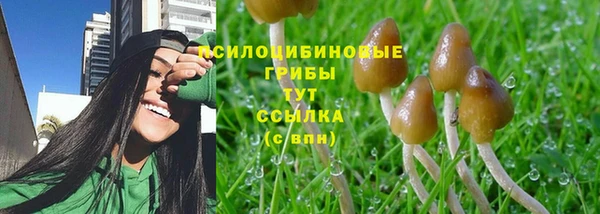прущие грибы Алексеевка